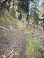  Braffits Creek Deep Canyon Rd - Photo 17
