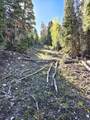  Braffits Creek Deep Canyon Rd - Photo 18