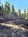  Braffits Creek Deep Canyon Rd - Photo 19