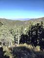  Braffits Creek Deep Canyon Rd - Photo 9