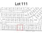 Lot 111 Lesina Heights Dr - Photo 6