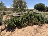 7776 Wagon Rd - Photo 57