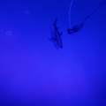 1095 3685 - Photo 11