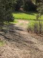 38 Box Canyon Road - Photo 23