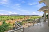 803 Lizzie Ln - Photo 45