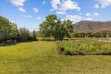 50 100 - Photo 49