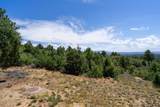 2450 Oak Tree Dr - Photo 41