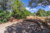 2450 Oak Tree Dr - Photo 58