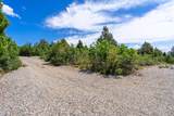 2450 Oak Tree Dr - Photo 61