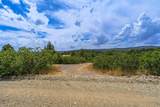 2450 Oak Tree Dr - Photo 62