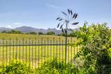 301 Rachel Ln - Photo 107