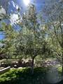 301 Rachel Ln - Photo 152