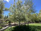 301 Rachel Ln - Photo 153
