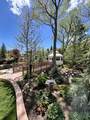 301 Rachel Ln - Photo 156