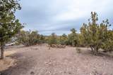 4180 Little Pinto Creek Rd - Photo 48