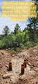 11685 Fir Rd - Photo 63