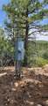 11685 Fir Rd - Photo 64