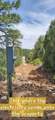 11685 Fir Rd - Photo 65