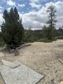 11685 Fir Rd - Photo 8