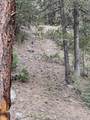 516 Kents Lake Rd - Photo 68