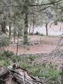 516 Kents Lake Rd - Photo 69