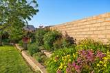 565 Rio De Sion Dr - Photo 10