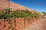 46 Glen Canyon Dr - Photo 39