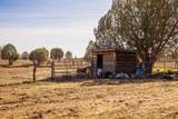 2591 Desert Drive - Photo 28