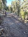  Braffits Creek Deep Canyon Rd - Photo 20