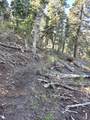  Braffits Creek Deep Canyon Rd - Photo 21