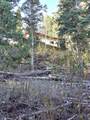  Braffits Creek Deep Canyon Rd - Photo 8