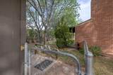 3356 Chaparral Dr - Photo 16