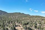 4233 Hwy 219 - Photo 3