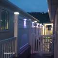 504 Telegraph St - Photo 44