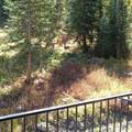 651 Snowflake Ln - Photo 23