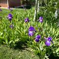 308 2050 - Photo 63