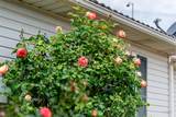 93 680 - Photo 27