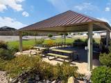 1229 Black Brush Dr - Photo 45