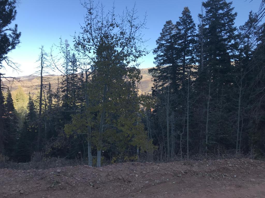 Aspen Dr - Photo 1