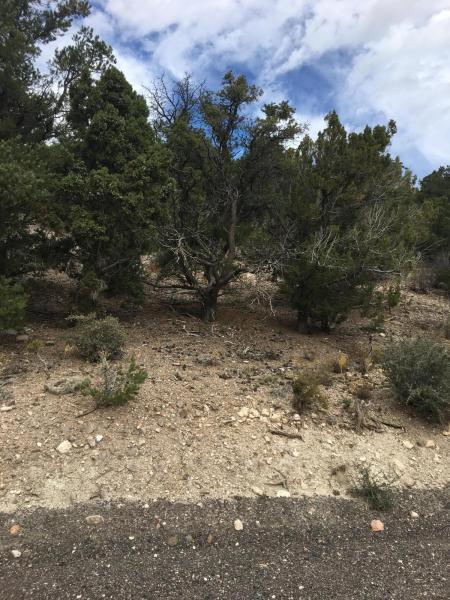 53 Sundance Kid Trail - Photo 1