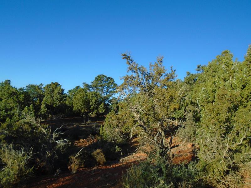 61 Sundance Kid Trail - Photo 1
