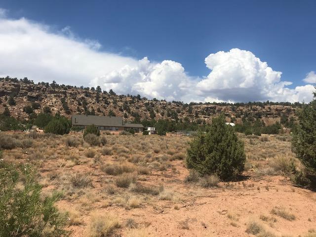 872 Smithsonian Way - Photo 1