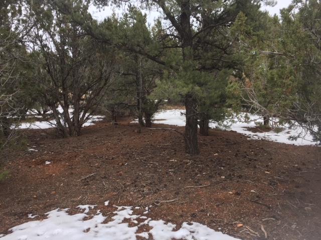 lot 12 Cedar Drive - Photo 1