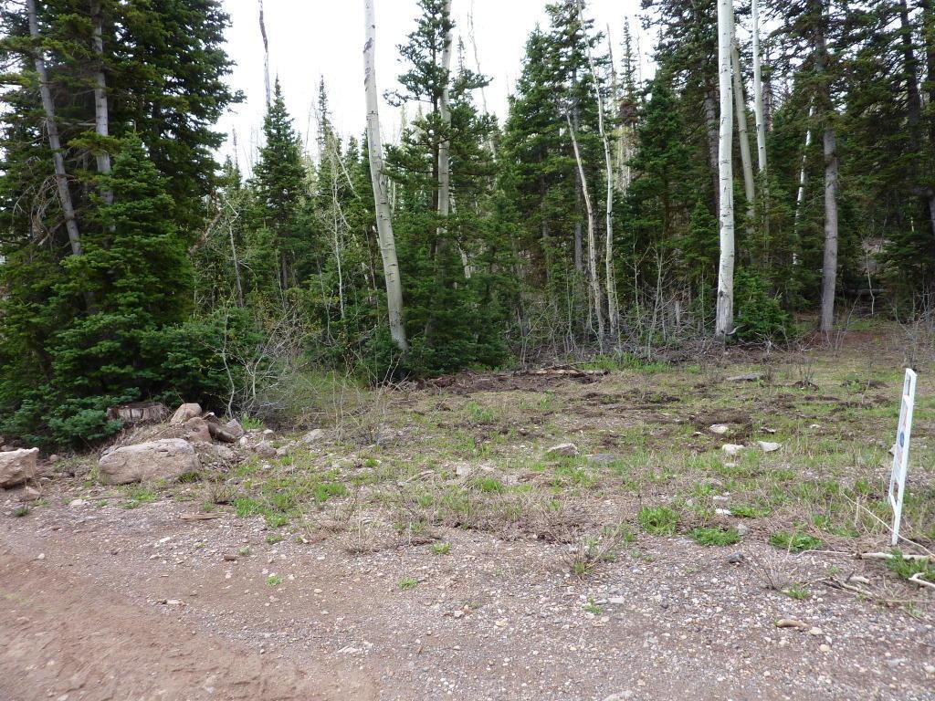 Highway 143/Gurr Ave - Photo 1