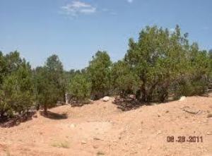 3D In Red Canyon Subdivision - Photo 1