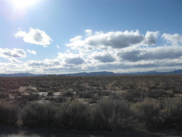 LOT 4158 Garden Valley Ranchos - Photo 1