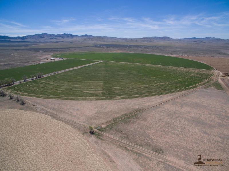 Hay Farm 410 Acres - Photo 1