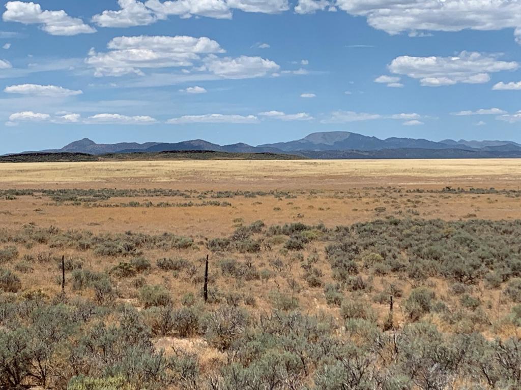 320 Acres On 14400 - Photo 1