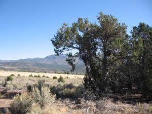 Lot 21 Butch Cassidy Trail - Photo 1
