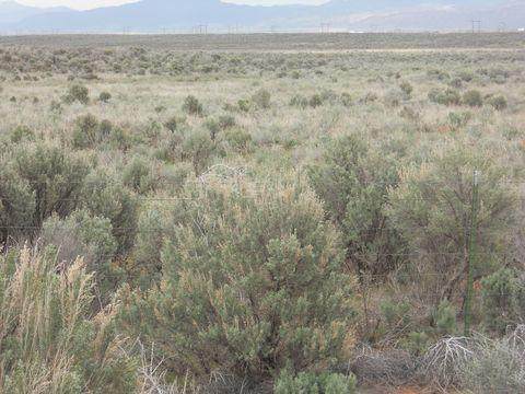 35.24 ACRE Escalante Valley Unit 15 - Photo 1